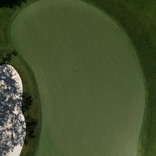 Local Rules and Terms of Competition