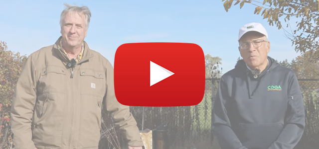 CDGA Turfgrass - Honeybees Playlist