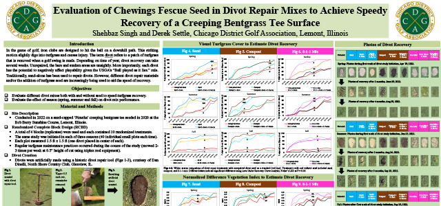 Evaluation of Chewings Fescue Seed in Divot Repair Mixes to Achieve Speedy Recovery - Creeping Bentgrass Tee.