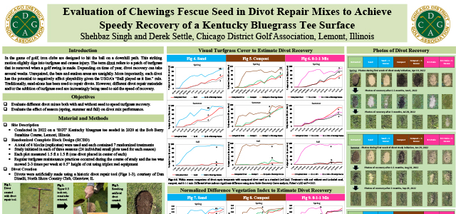 Evaluation of Chewings Fescue Seed in Divot Repair Mixes to Achieve Speedy Recovery - Kentucky Bluegrass Tee.