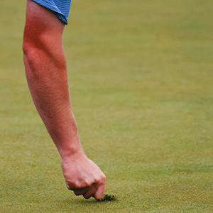 CDGA Turfgrass Program