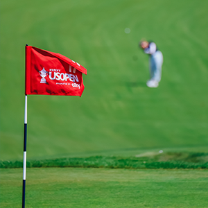 Virtual Rules School